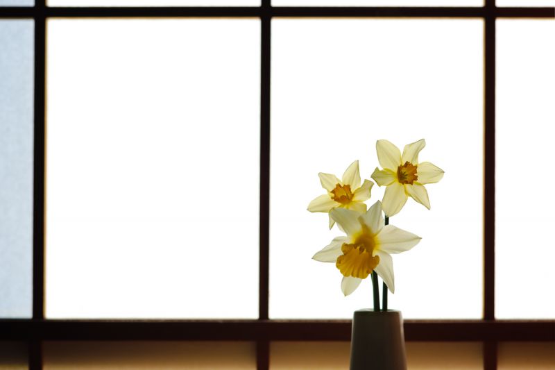 mỗi lần gặp gỡ đều là duy nhất